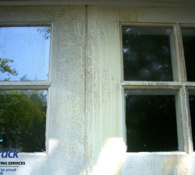 Greenwich-mildew-before