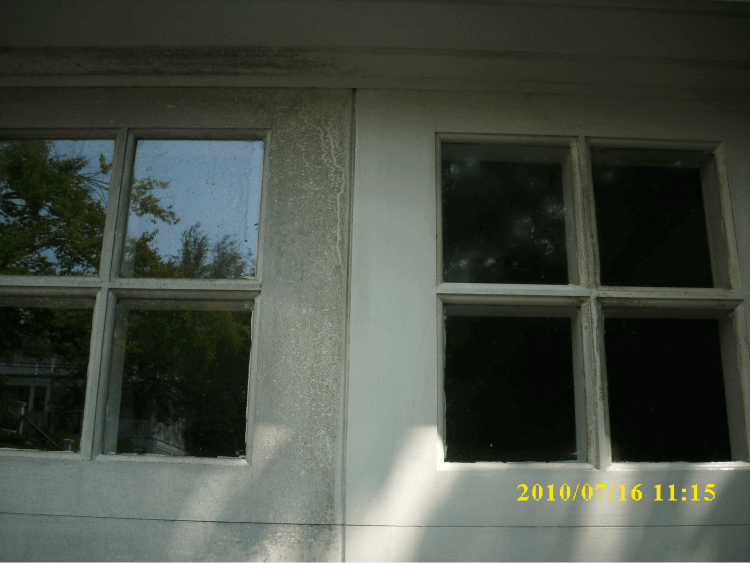 How to clean and eliminate mildew before painting exterior surfaces: Cleaning mildew