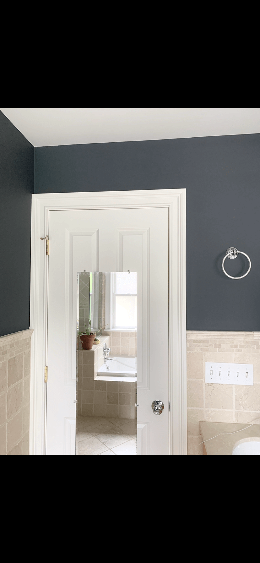 Matte Bathroom | Paint Track Painting Services